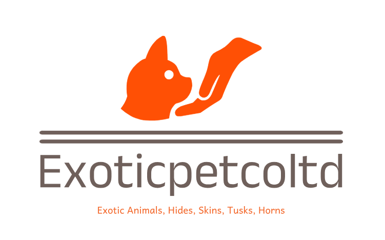 logo exotic animals