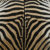 Genuine Zebra Skin (Non-Felt) Trophy Grade A