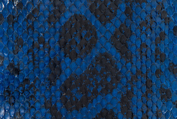 Anaconda Skin Glazed Cobalt