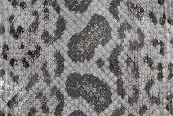 Anaconda Skin Glazed Grey