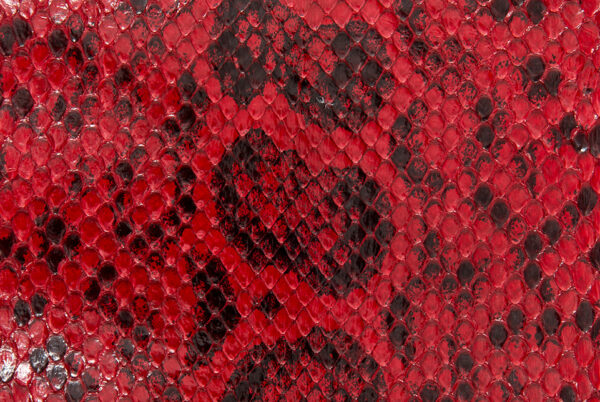 Anaconda Skin Glazed Red