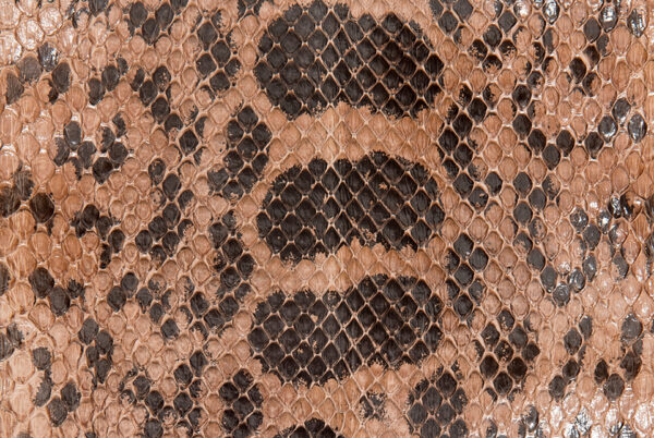 Anaconda Skin Glazed Taupe