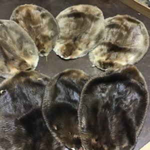 Beaver Fur For Sale