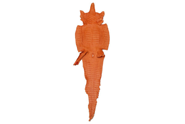 Caiman Belly Matte Orange Tiger