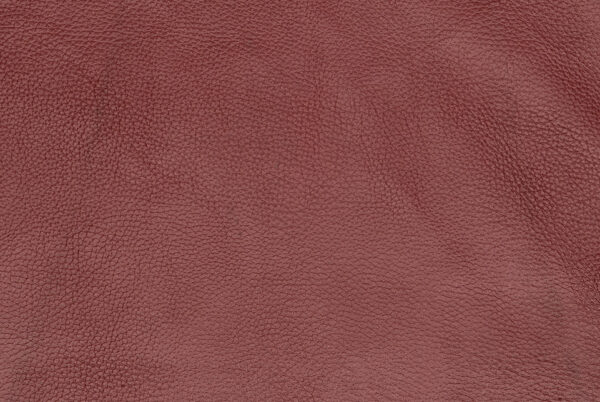 Deer Skin For Sale