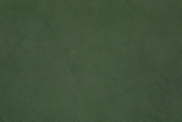 Deer Skin For Sale