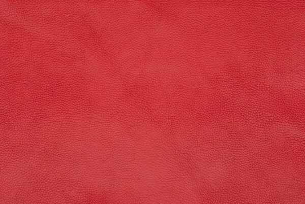 Deer Skin For Sale