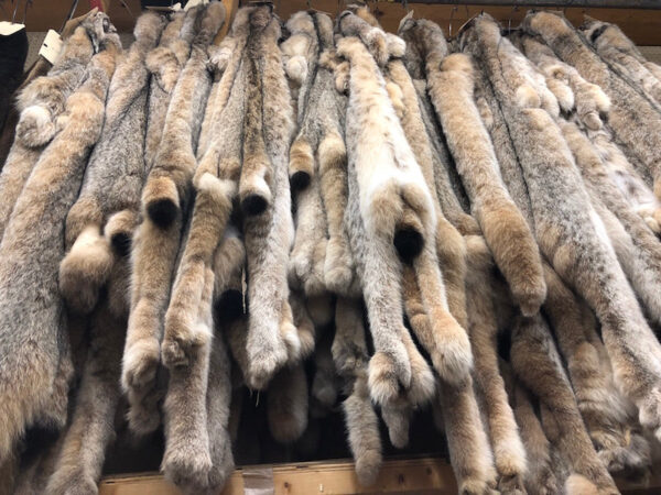 Lamb fur for sale