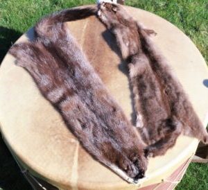 Martin Hide For Sale