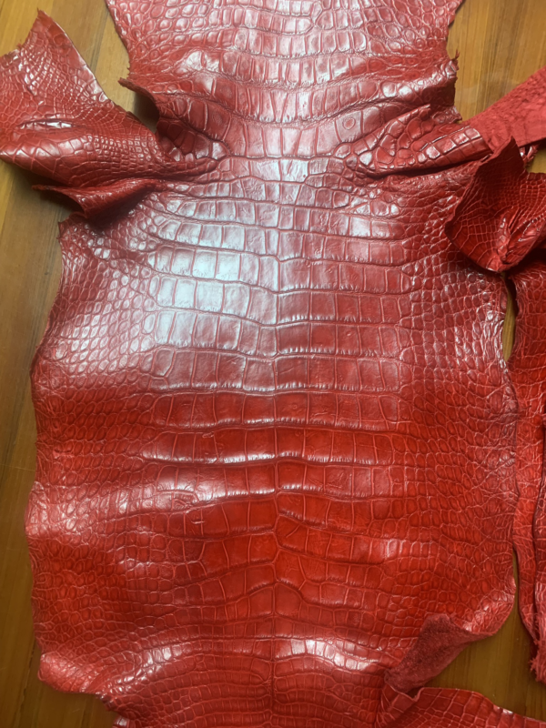 Red AAlligator Skins For Sale