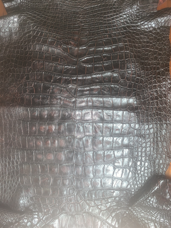 Sports Rust Alligator Skin For Sale