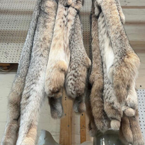 Lamb fur for sale