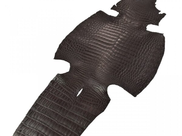crocodile skins for sale
