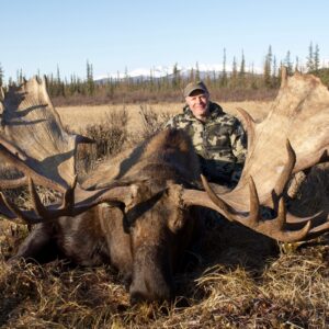 Alaskan Moose For Sale