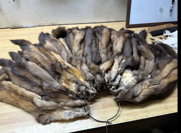 Sable Skins And Rug For Sale