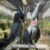 Noel the Male Palm Cockatoo For Sale