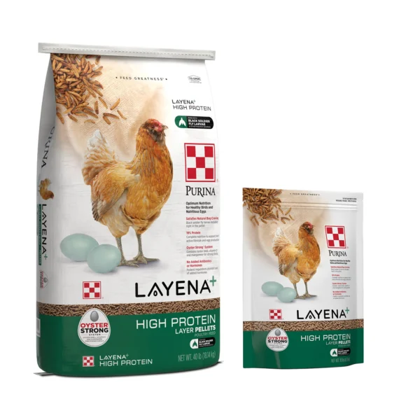 Poultry By-product Meal for sale