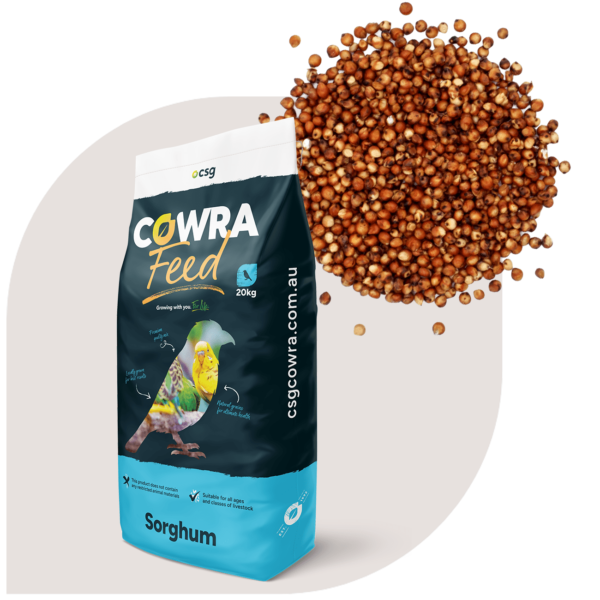 Sorghum Feed for sale