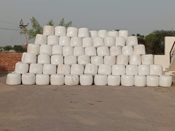 Silage for sale (Corn and Grass)