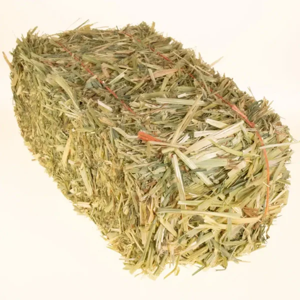 Oat hay for sale - Image 3