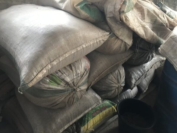Palm kernel cake for sale