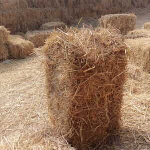 Wheat straw for sale