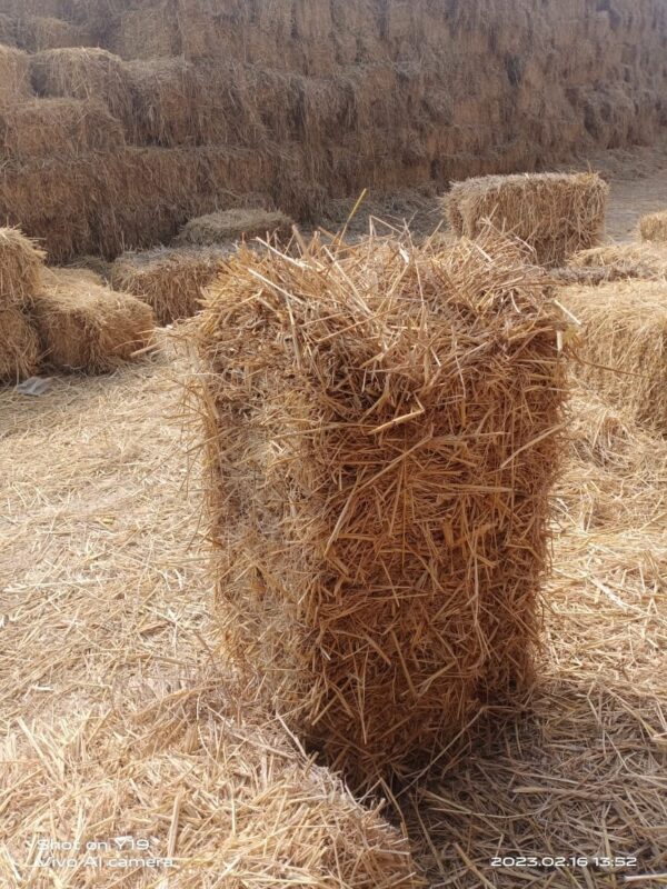 Wheat straw for sale