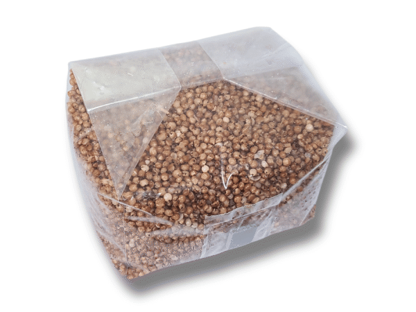 Sorghum grain for sale
