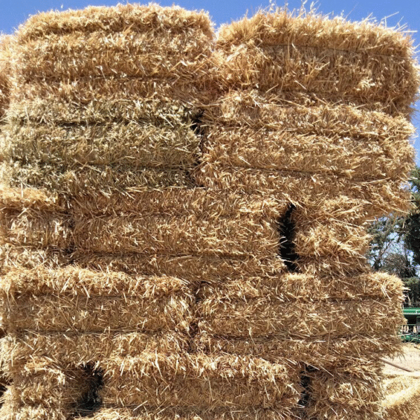 Oat hay for sale