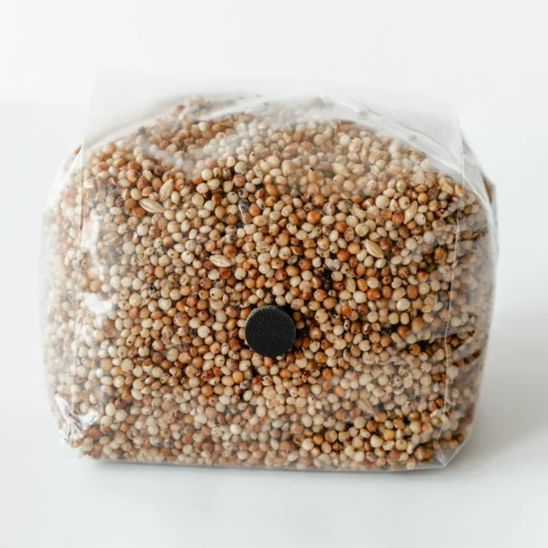 Sorghum grain for sale
