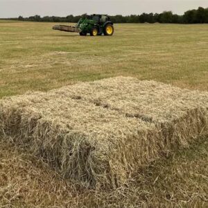 Bermuda grass hay for sale