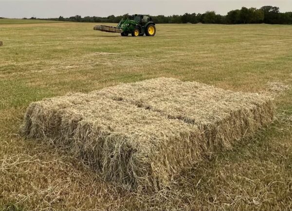 Bermuda grass hay for sale