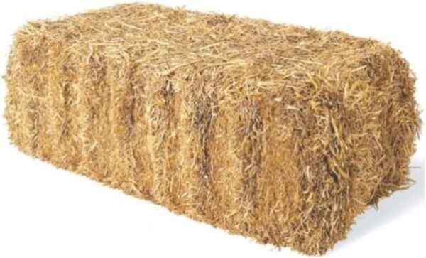 Wheat straw for sale