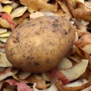 Potato waste for sale