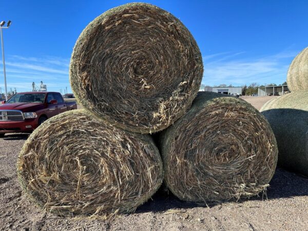 Corn stover grass for sale