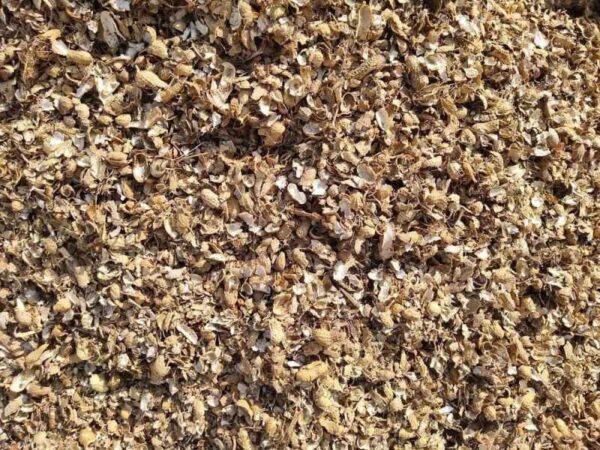 Groundnut shell for sale