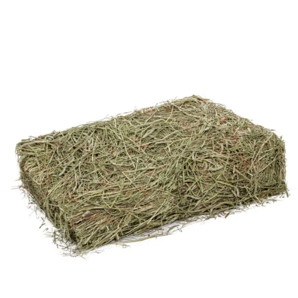 Timothy hay for sale