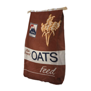Oats grain for sale