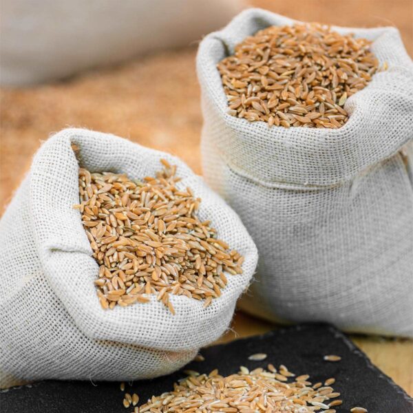 Wheat grain for sale