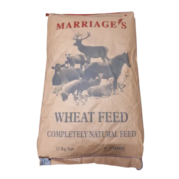 Wheat middlings for sale