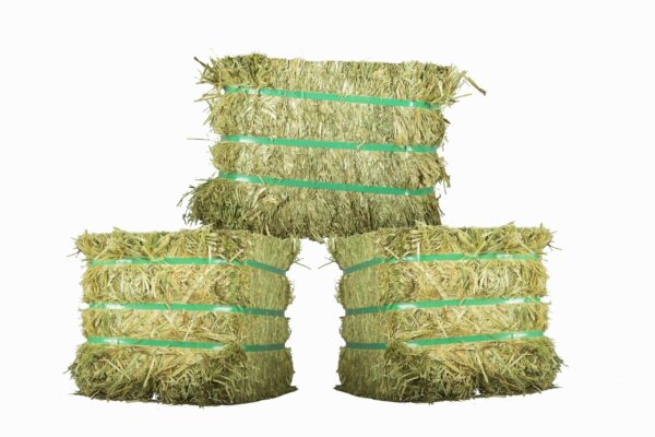 Oat hay for sale