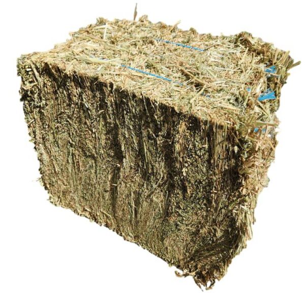 Oat hay for sale - Image 6