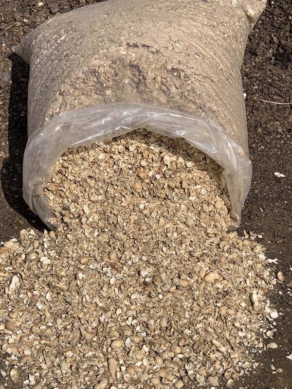 Groundnut shell for sale