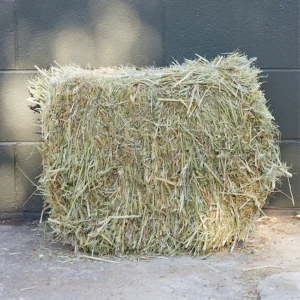 Oat hay for sale