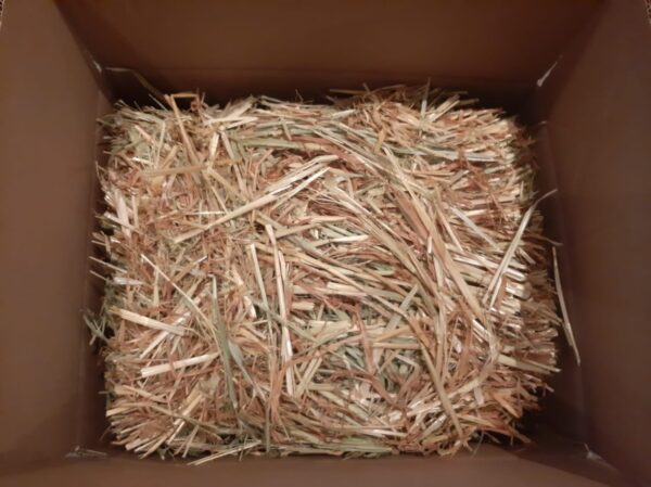 Oat hay for sale