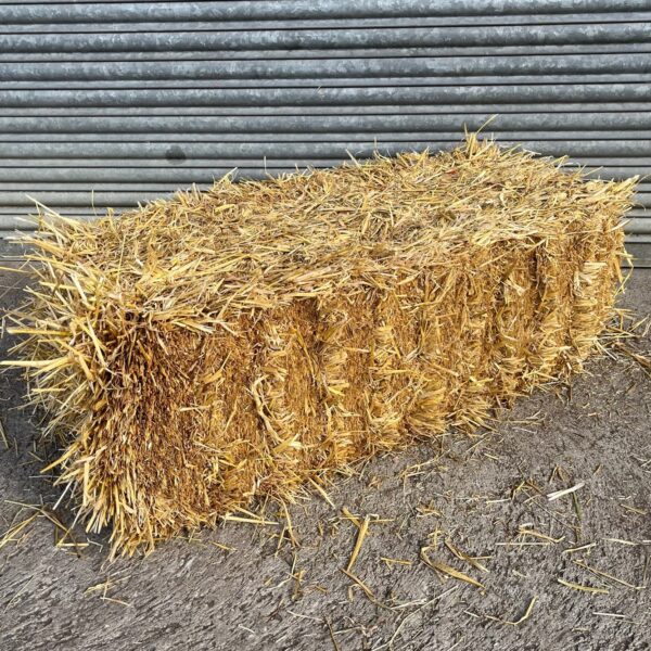 Barley straw for sale