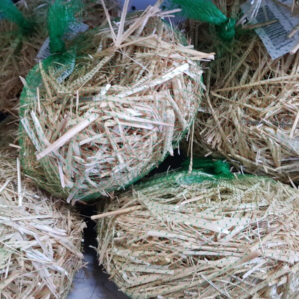 Barley straw for sale