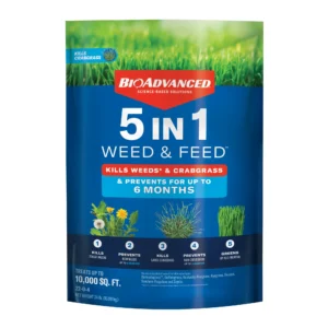 Corn gluten feed for sale