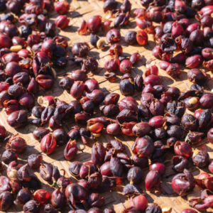 Coffee pulp for sale