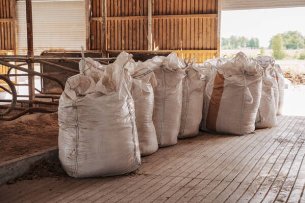 Barley grain for sale